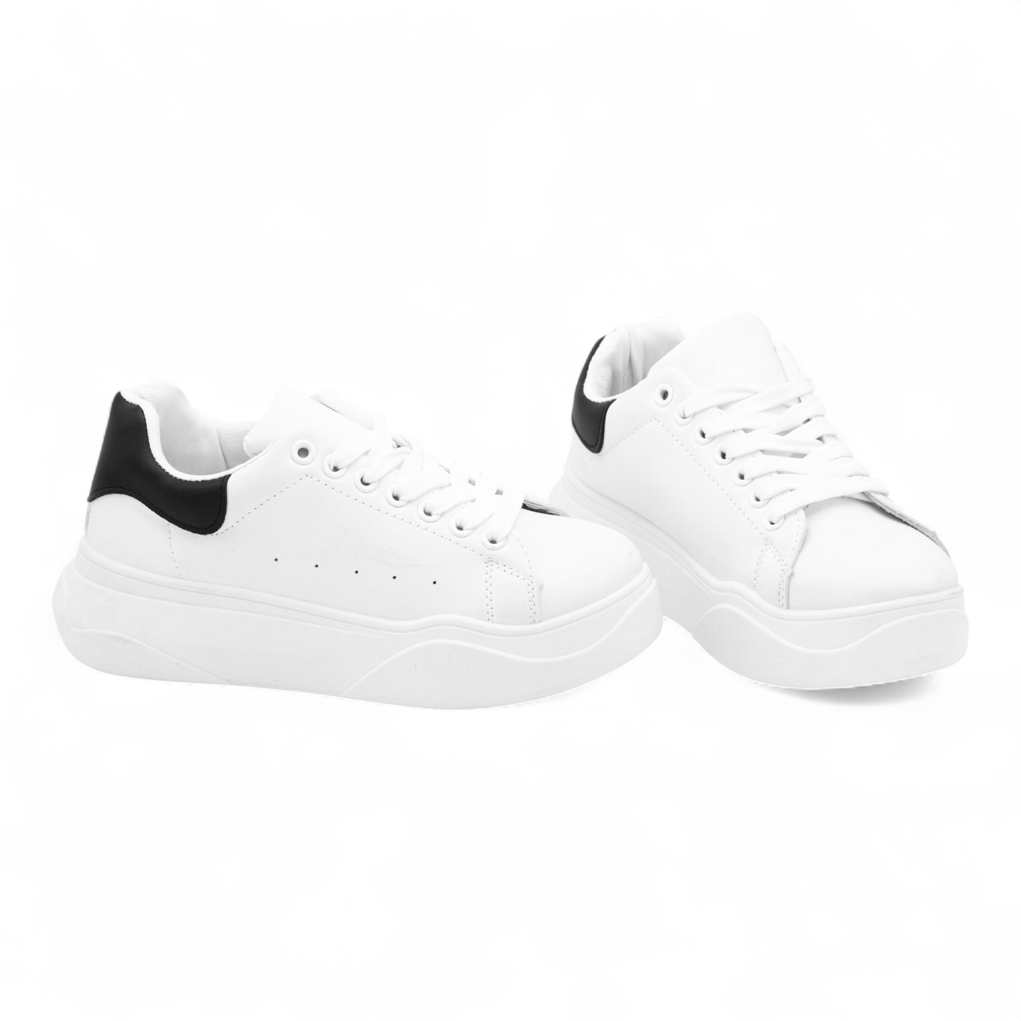 Swlss01 white swan