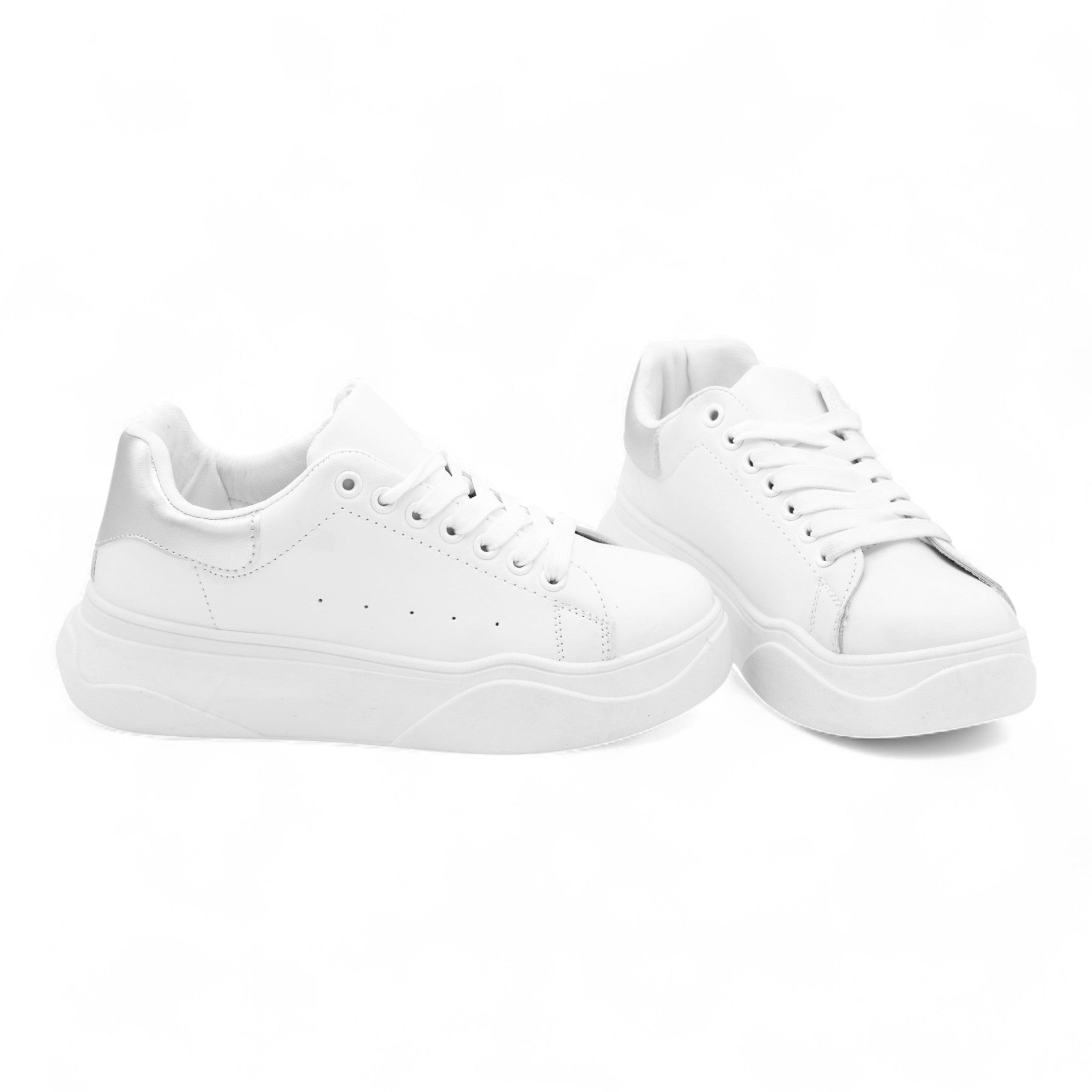 Swlss01 white swan