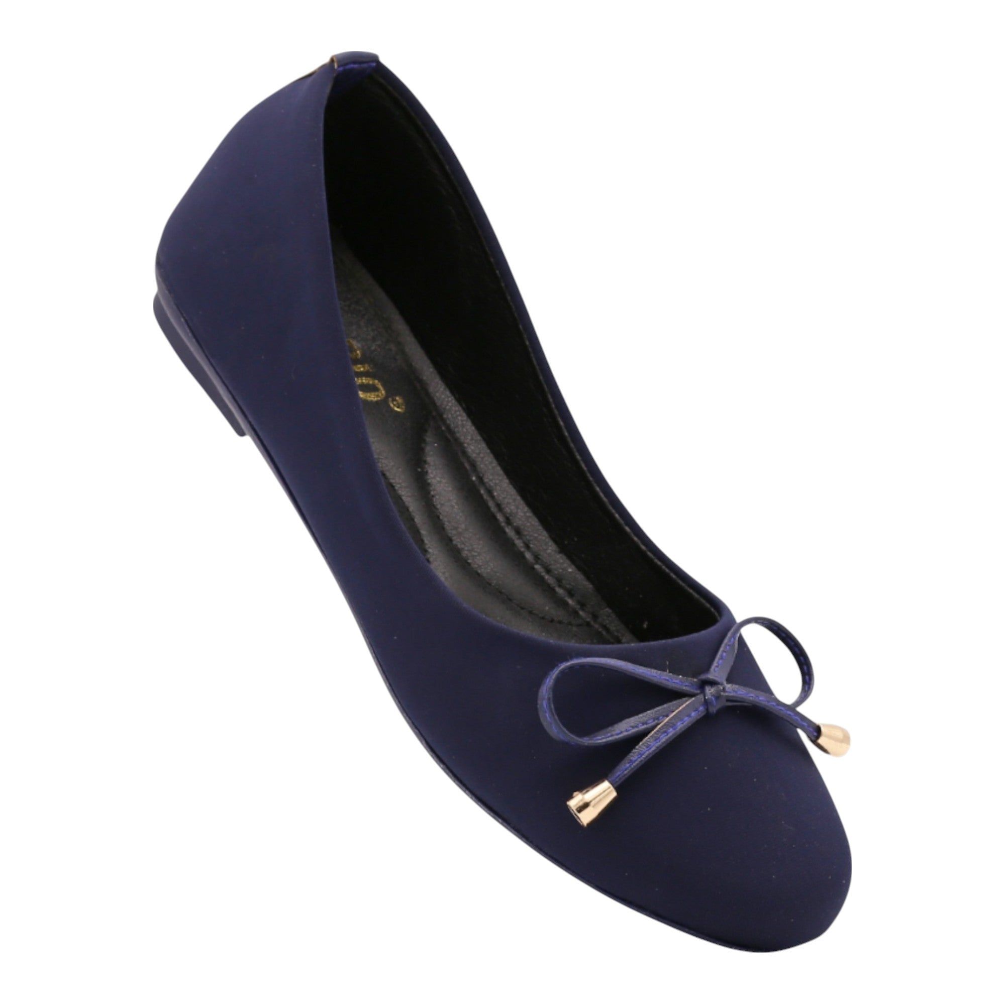 M0667 flat pump -R20-4