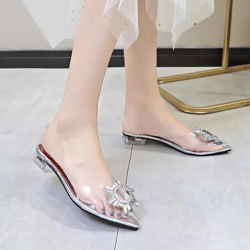 Chiara transparent-R26-3